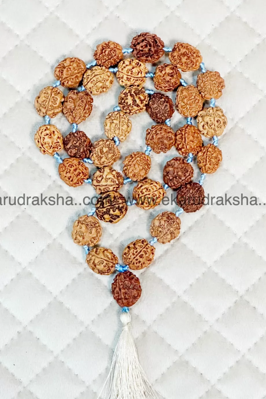 3 mukhi Nepali rudraksha kantha mala 33 beads lab Certified Agni Tridev stress relief health boost Mars Muldhara root chakra balance necklace