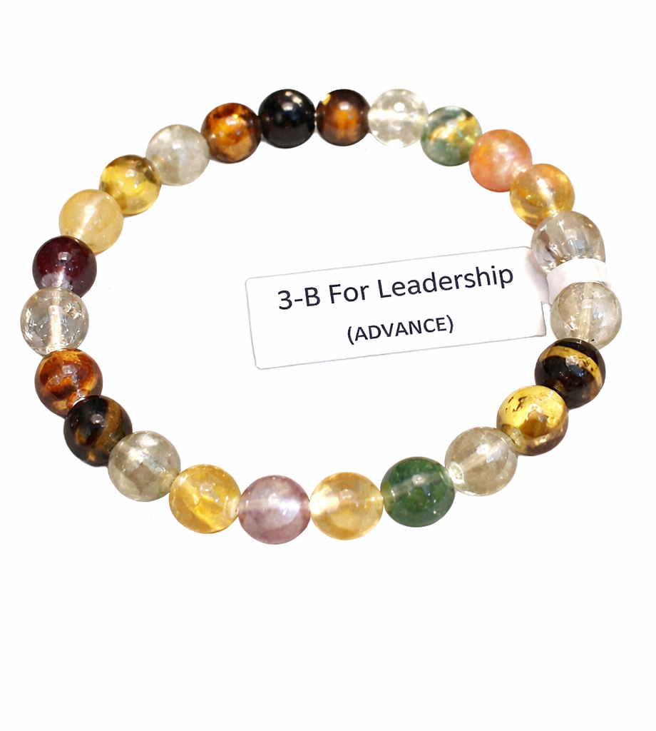 3-B For Leadership (Advance)
