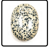 Dalmatian Palm Stone