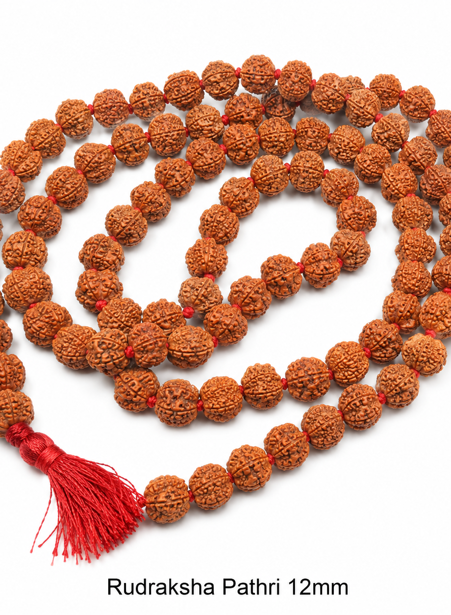 Rudraksha Pathri 12mm Mala