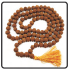 Rudraksha Pathri 8mm (Yellow Flower Mala)