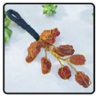 Carnelian Crystal Hanger
